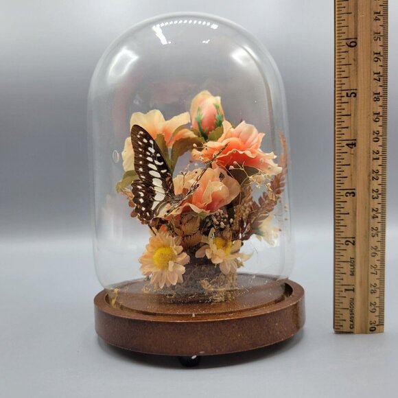 Vintage Decorative Glass Dome Terrarium Diorama Butterfly Flowers Wood Base - Picture 12 of 12